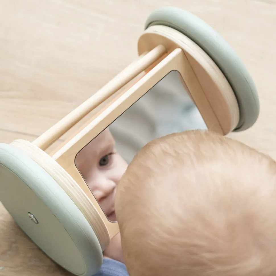 Aktivitets- & rullespejl Birdee Farvemix