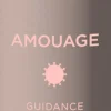 AMOUAGE GUIDANCE HAIR PERFUME 50 ML