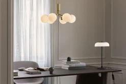 Apiales 6, brushed brass / opal