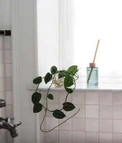 ARKTIS Scent Diffuser 200ml