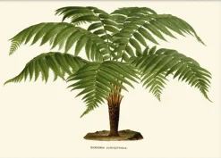 Artimuus - Artimuus 102