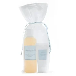 Bath & Shower Ginger Julegaveæske