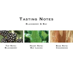 Blackberry & Bay Cologne