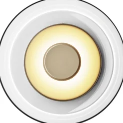 Blossi Wall, nordic gold / clear