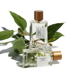 Bohemian Lime Perfume Concentrate