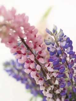 BUBBLE TUBE, LARGE, ROSE/ROSE, 90270R