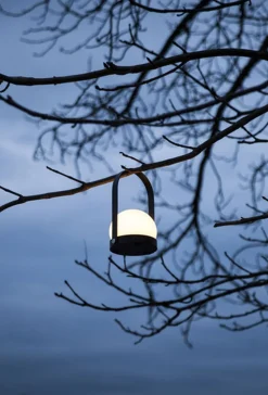 Carrie Portable Table Lamp