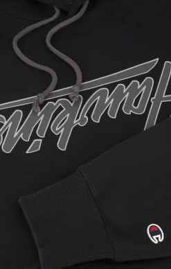 Champion X Stranger Things Hawkins hættetrøje