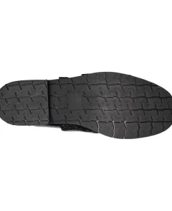 COCCINELLECAMPUS SHINY