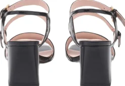 COCCINELLEMAIA BIMATERIAL