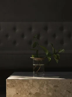 Cresco Propagation Vases, Set of 2