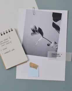 Daily Defence Antiperspirant Roll-on Deodorant