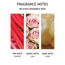 Delicious Rhubarb & Rose Fine Liquid Hand Wash