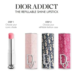 Dior Addict Case - Limited Edition Refillable Case