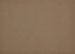 Dækkeserviet 46 x 33 cm 4 stk. Wood/Titanium