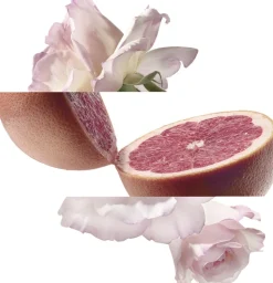 Eau de pamplemousse rose Eau de Cologne