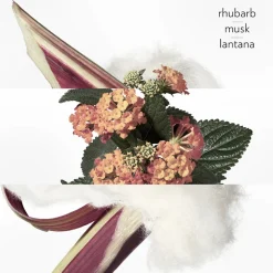 Eau De Rhubarbe Écarlate Eau de Cologne 200 ml