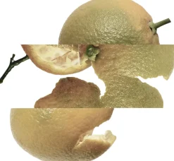 Eau d'orange verte Eau de Cologne