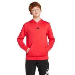 Essentials Hættetrøje