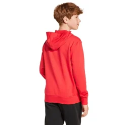 Essentials Hættetrøje