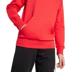 Essentials Hættetrøje