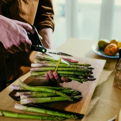 FF ReNew køkkensaks 21 cm