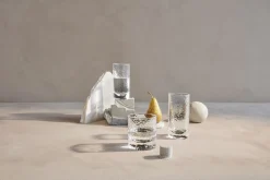 Forma Drinksglas klar 30 cl 2 stk.