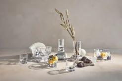 Forma Drinksglas klar 30 cl 2 stk.