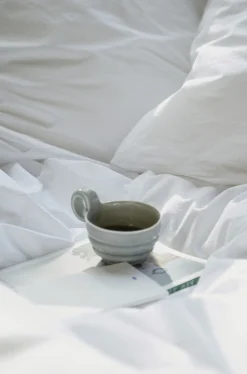 Fossflakes Winter Dyne