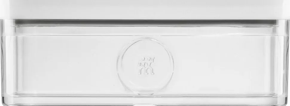 Fresh & Save CUBE Beholder L gen-hv