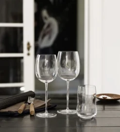 Future 6 stk. Vandglas klar 25 cl