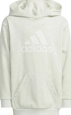 Future Icons Badge of Sport hættetrøje