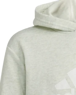 Future Icons Badge of Sport hættetrøje