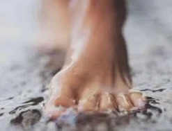 Gelehæl formed Lady