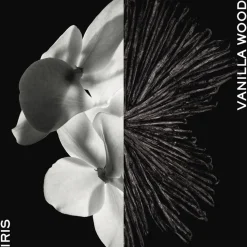 Givenchy Gentleman Eau de parfum