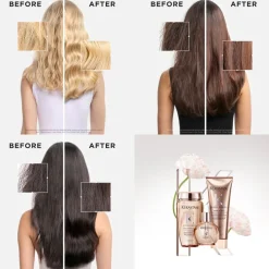 Gloss Absolu Glaze Drops Hair Oil