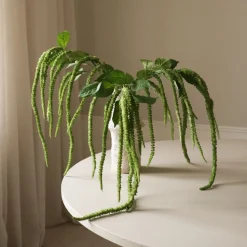 Green Three Forks Amaranthus Flower