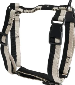HAY Dogs Harness-Medium-Black, whit