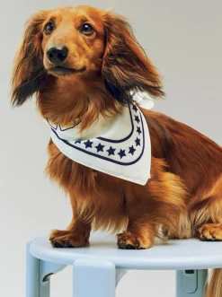 HAY Dogs Scarf Recycled-55 x 55-O