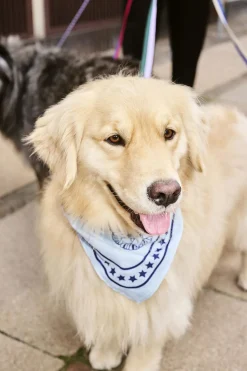 HAY Dogs Scarf-55 x 55-Light blue