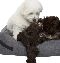 Hundeseng HYGGE Anthracite