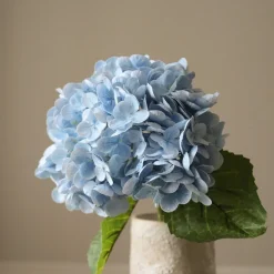 Hydrangea Flower