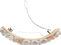 I Can Buy Myself Flowers Clip