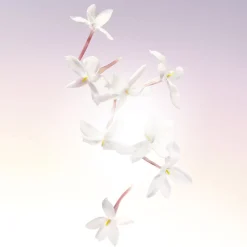 Idôle Eau de Parfum