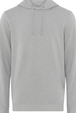 JBS of Denmark Logo hoodie