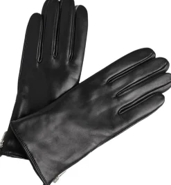 KathMBG Glove