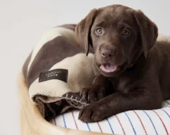 Kaya Hundetæppe - Medium