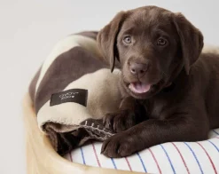 Kaya Hundetæppe - Stor