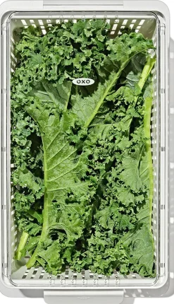 Køleskabsopbevaring - Mellem