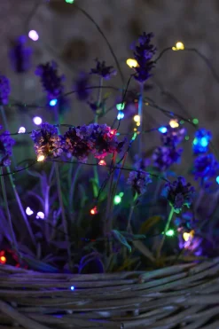 Knirke, 40L, Multi/Grøn lyskæde